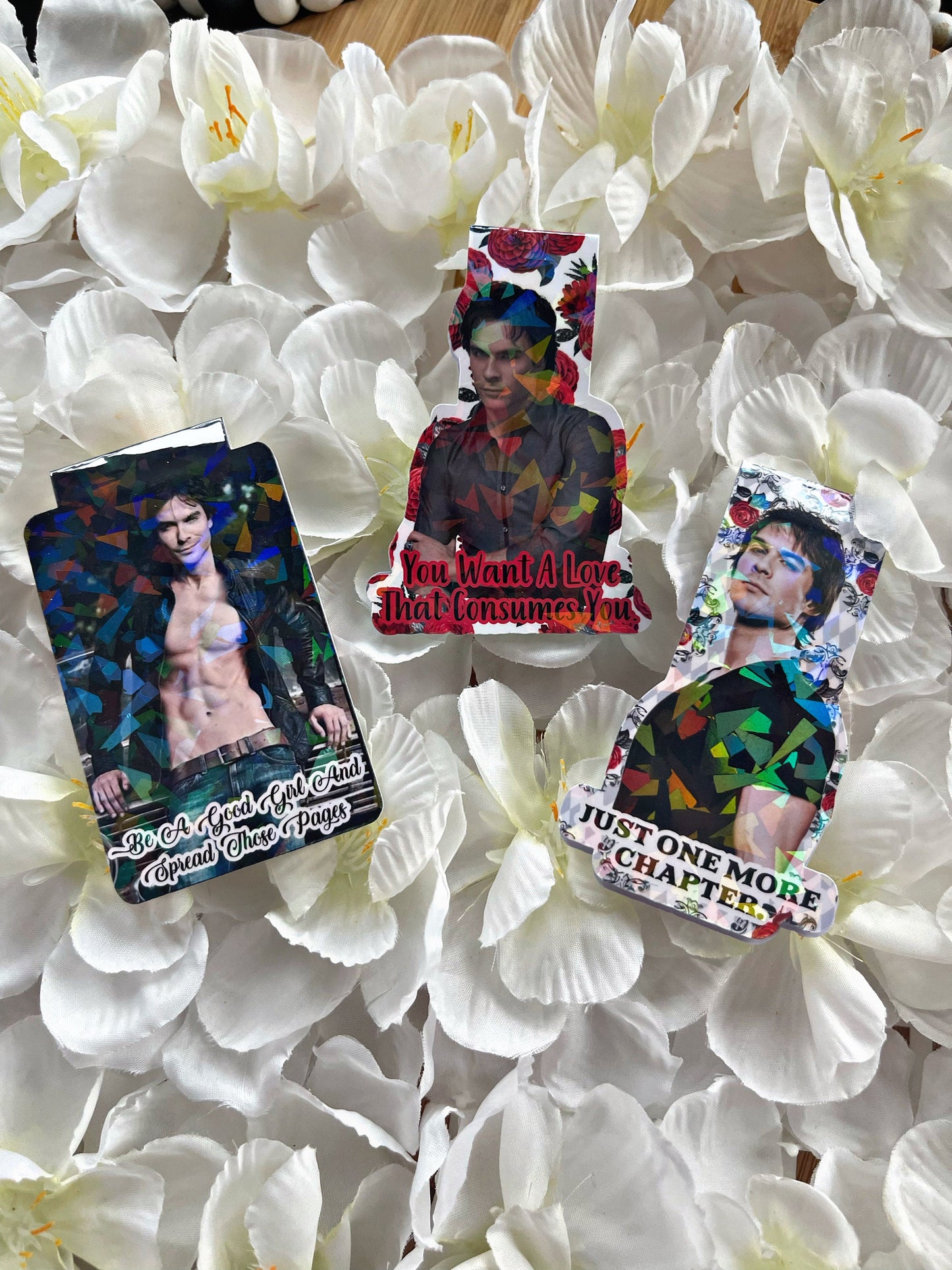 Damon Magnetic Bookmark, Vampire Diaries Bookmark, Reading Accessory, Book Gift, Cute Bookmark, Unique Bookmark