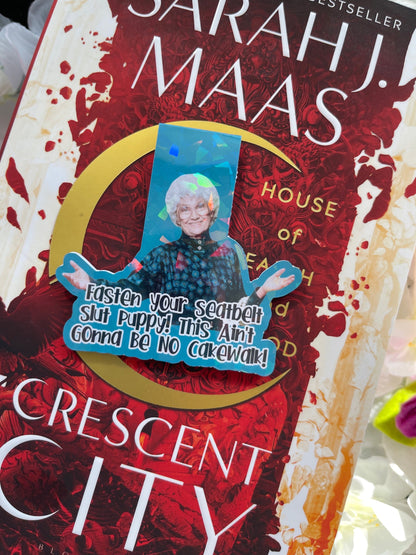 Golden Girls Magnetic Bookmark, Cute Christmas Bookmark, Reading Accessory, Book Gift, Cute Bookmark, Unique Bookmark, Smutty Bookmark