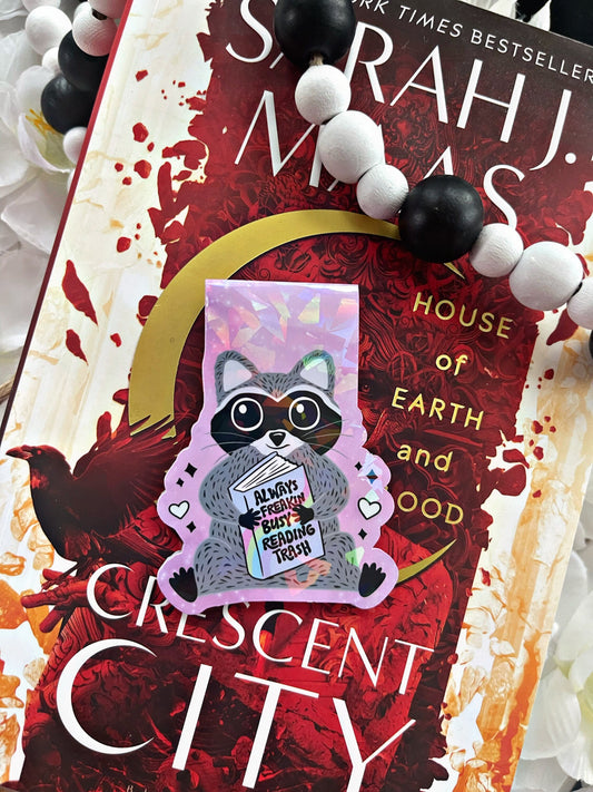 Cute Raccoon Magnetic Bookmark, Trash Bookmark,  Cute Reading Accessory, Book Gift, Cute Bookmark, Unique Bookmark