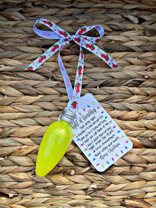 Light Of Friendship Ornament, Light Of Teacher Ornament, Stocking Stuffer, Bulb Ornament, Christmas Ornaments,