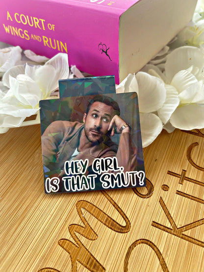 Ryan Gosling Bookmark, Is That Smut? Magnetic Bookmark, Reading Accessory, Book Gift, Cute Bookmark, Unique Bookmark,