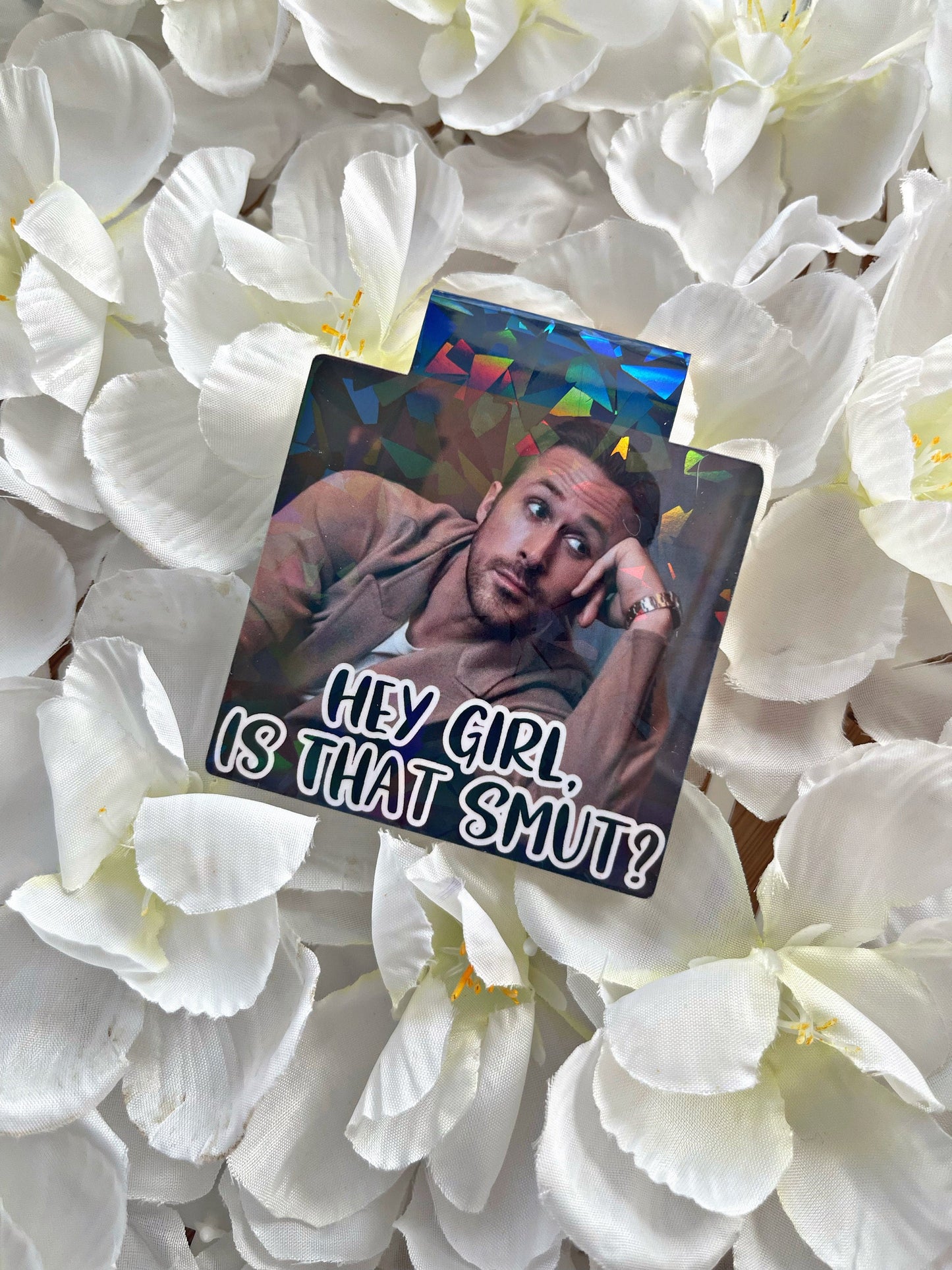 Ryan Gosling Bookmark, Is That Smut? Magnetic Bookmark, Reading Accessory, Book Gift, Cute Bookmark, Unique Bookmark,