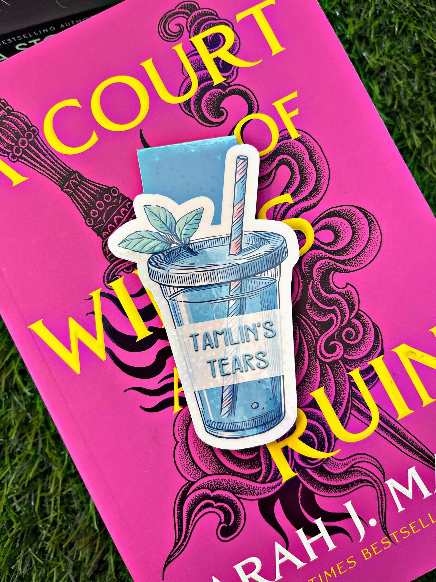 Acotar Themed Magnetic Bookmarks, Acotar Bookmark, Cute Reading Accessory, Book Gift, Cute Bookmark