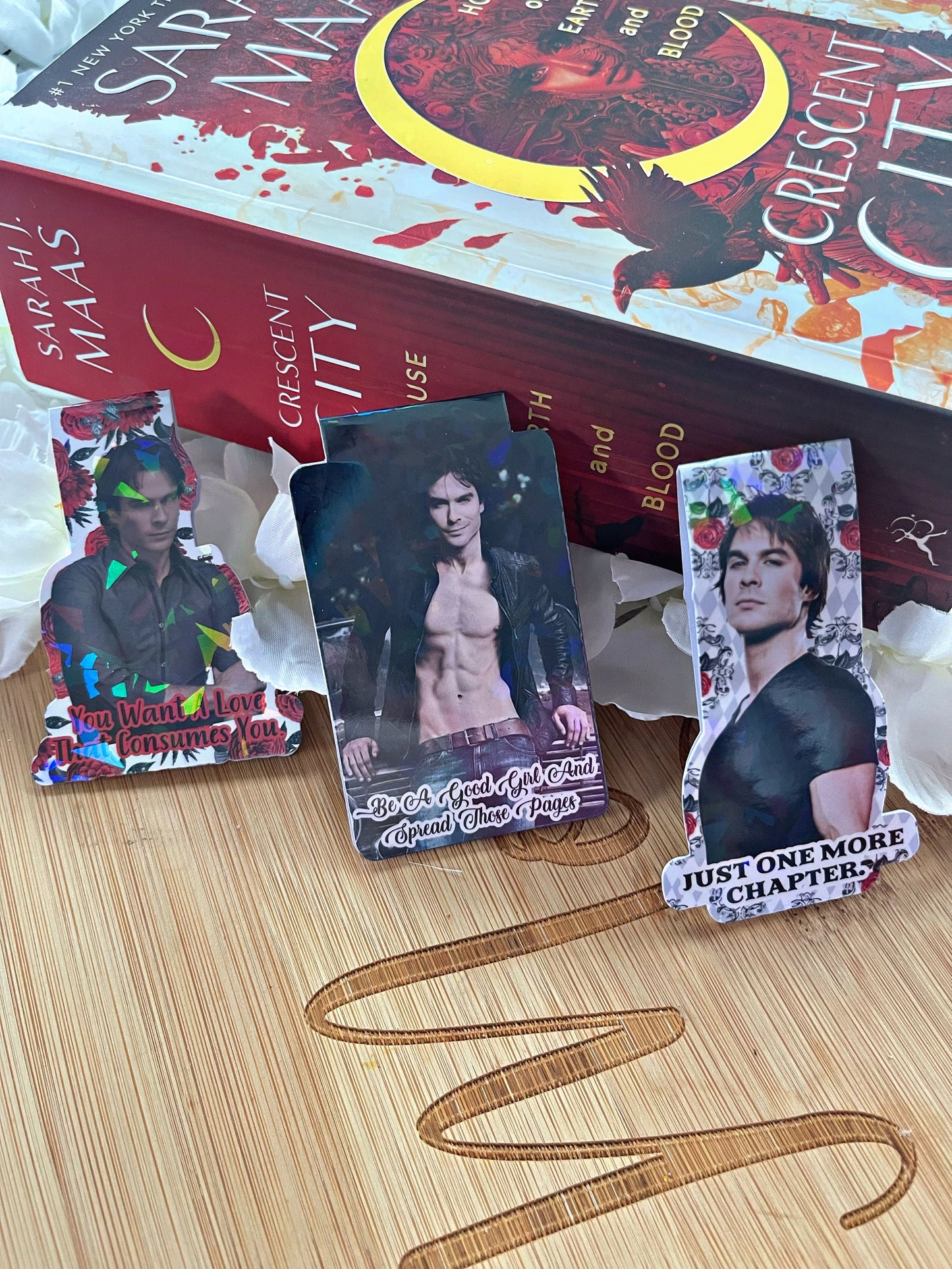 Damon Magnetic Bookmark, Vampire Diaries Bookmark,  Reading Accessory, Book Gift, Cute Bookmark, Unique Bookmark