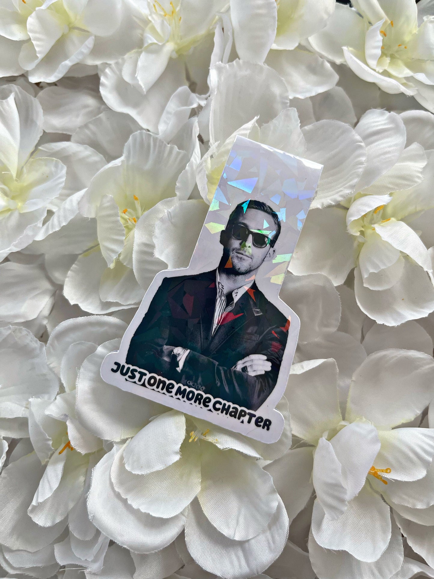 Ryan Gosling Bookmark, Just One More Chapter Magnetic Bookmark, Reading Accessory, Book Gift, Cute Bookmark, Unique Bookmark,