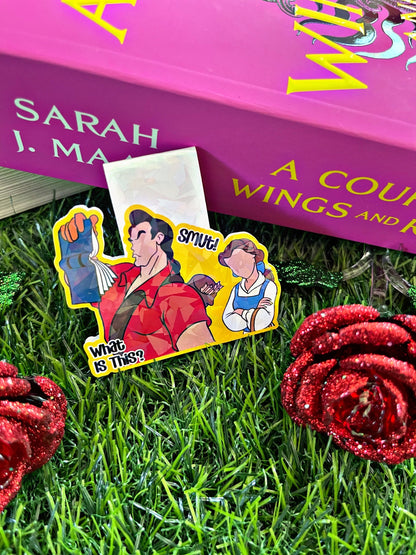 Beauty and The Beast Magnetic Bookmark, Belle Bookworm Smut Magnetic Bookmark, Cute Reading Accessory, Book Gift,