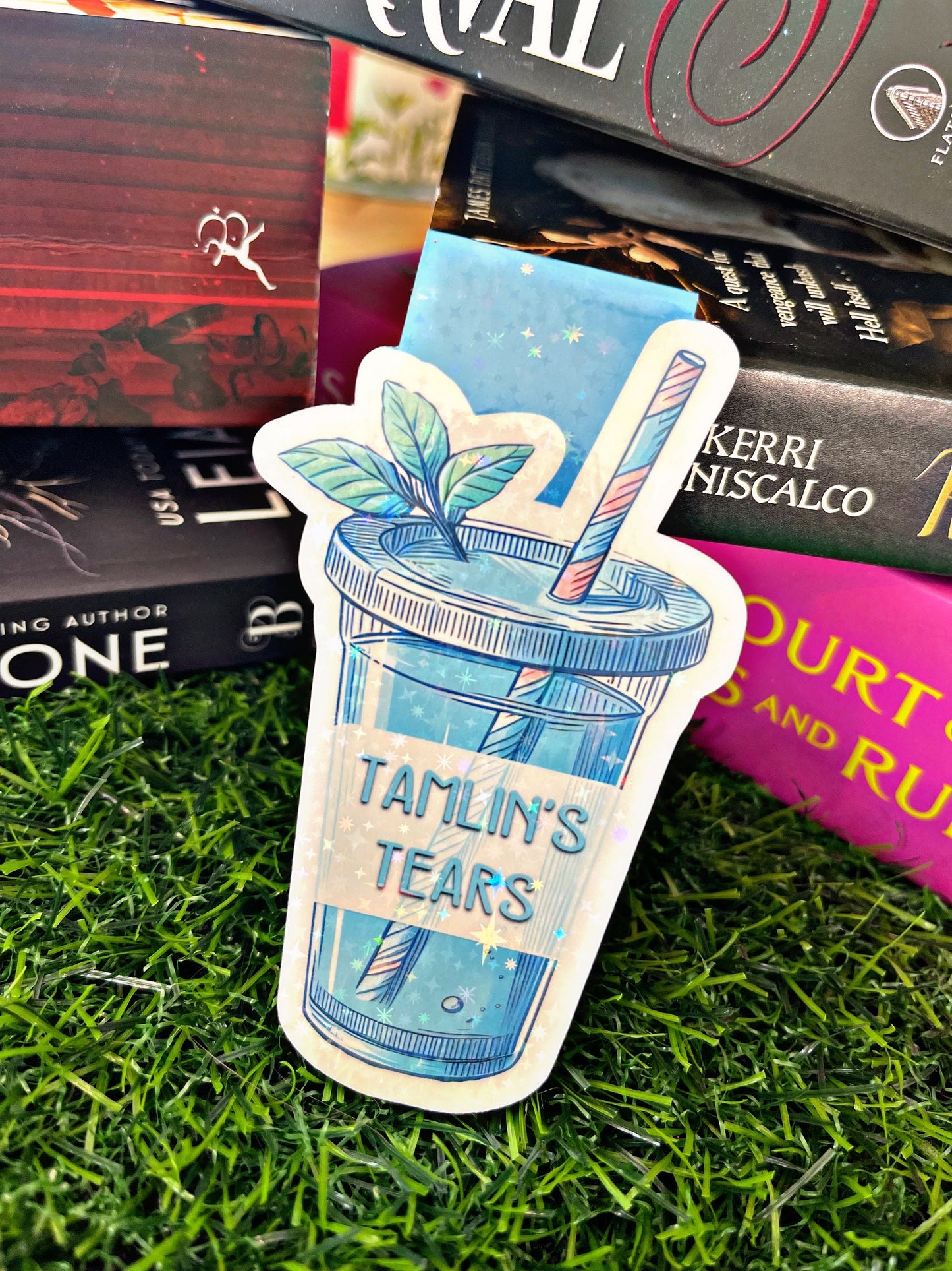 Acotar Themed Magnetic Bookmarks, Acotar Bookmark, Cute Reading Accessory, Book Gift, Cute Bookmark