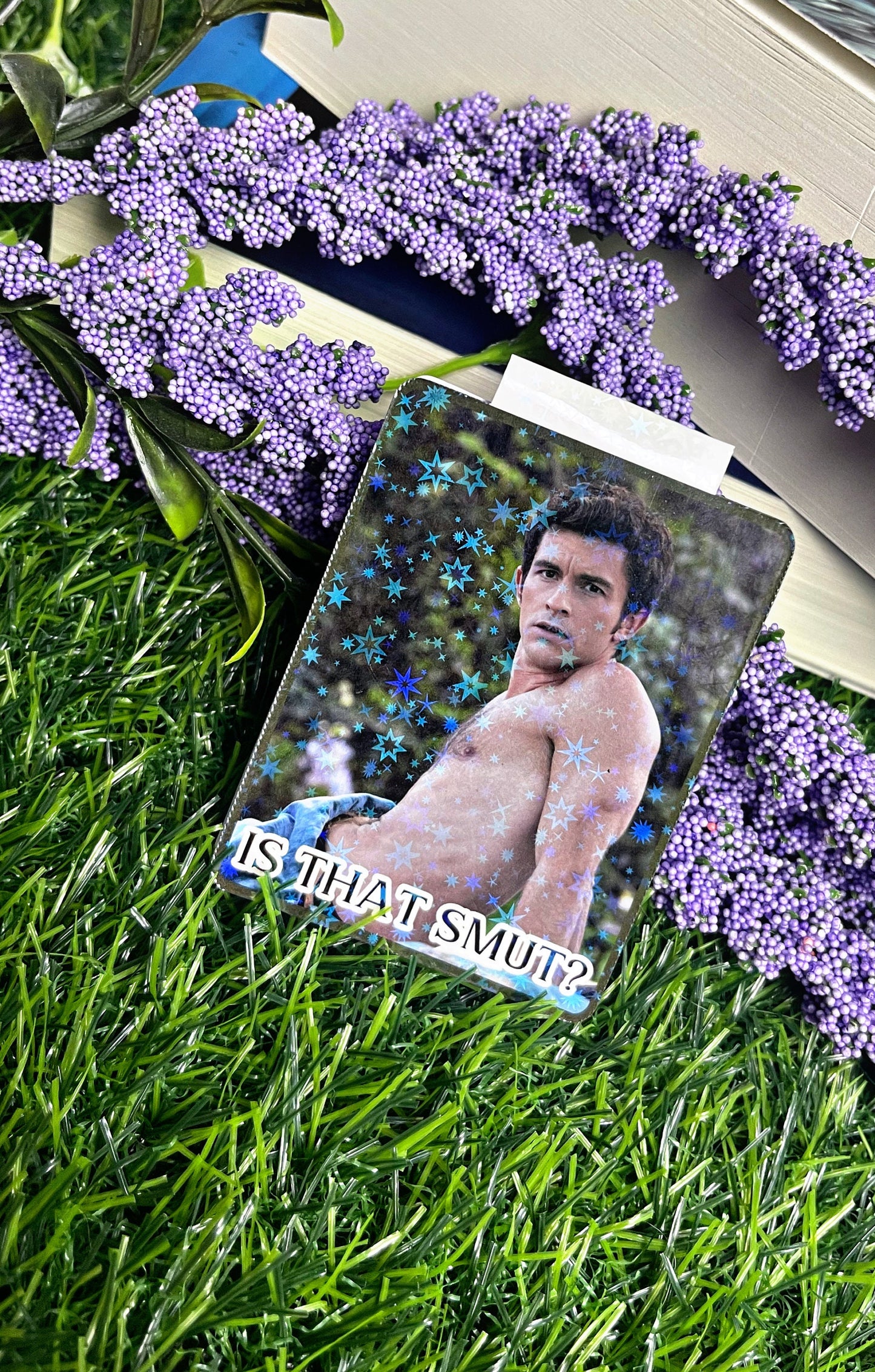 Anthony Bridgerton Themed Magnetic Bookmark, Magnetic Bookmark, Bookmark, Cute Reading Accessory, Book Gift,