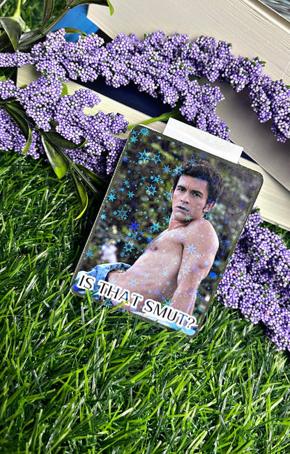 Anthony Bridgerton Themed Magnetic Bookmark, Magnetic Bookmark, Bookmark, Cute Reading Accessory, Book Gift,