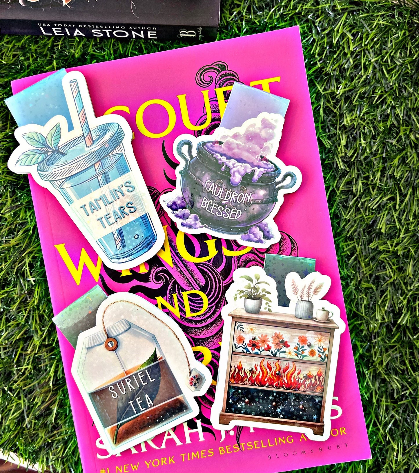 Acotar Themed Magnetic Bookmarks, Acotar Bookmark, Cute Reading Accessory, Book Gift, Cute Bookmark