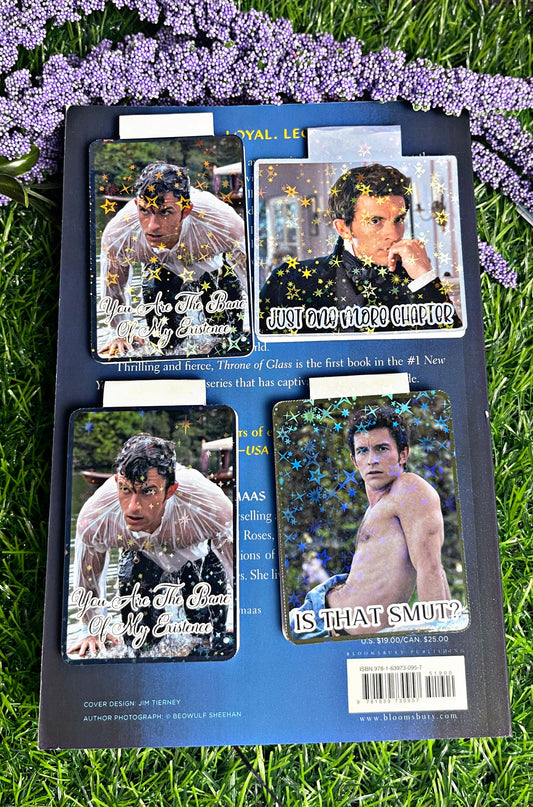 Anthony Bridgerton Themed Magnetic Bookmark, Magnetic Bookmark, Bookmark, Cute Reading Accessory, Book Gift,