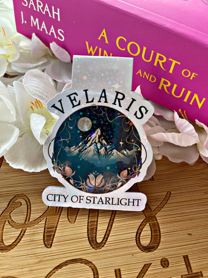 ACOTAR themed Bookmark,  ACOTAR Magnetic Bookmark, Just One More Chapter, Book Gift, Cute Bookmark, Unique Bookmark, Personalized Bookmark