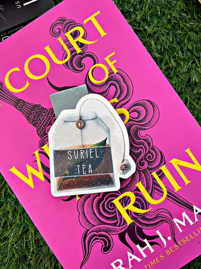 Acotar Themed Magnetic Bookmarks, Acotar Bookmark, Cute Reading Accessory, Book Gift, Cute Bookmark