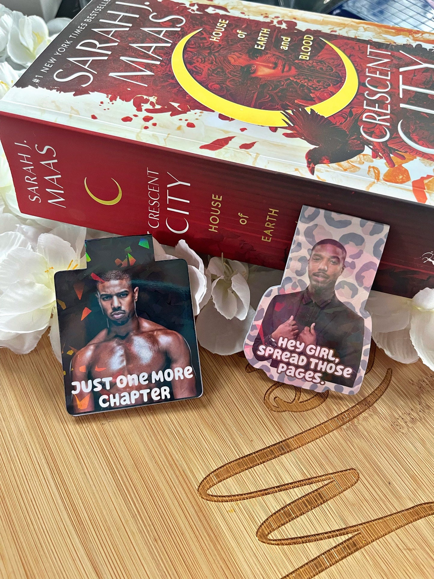 Michael B Jordan Magnetic Bookmark, Smutty Bookmark,  Reading Accessory, Book Gift, Cute Bookmark, Unique Bookmark